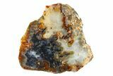 Polished Trent Agate With Stibnite & Realgar - Oregon #299264-1